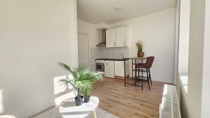 Foto 1 van Paulus Potterstraat 167-B