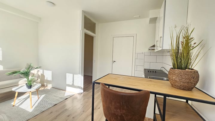 Foto 3 van Paulus Potterstraat 167-B