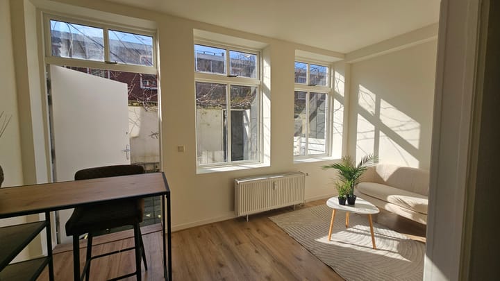 Foto 7 van Paulus Potterstraat 167-B