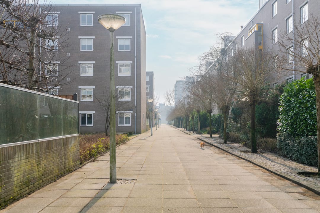 Foto 22 van Geervliet 17