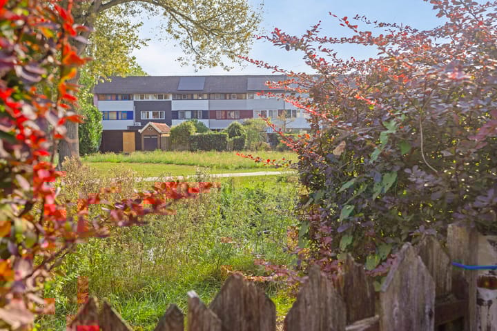 Foto 28 van Braamkamp 51