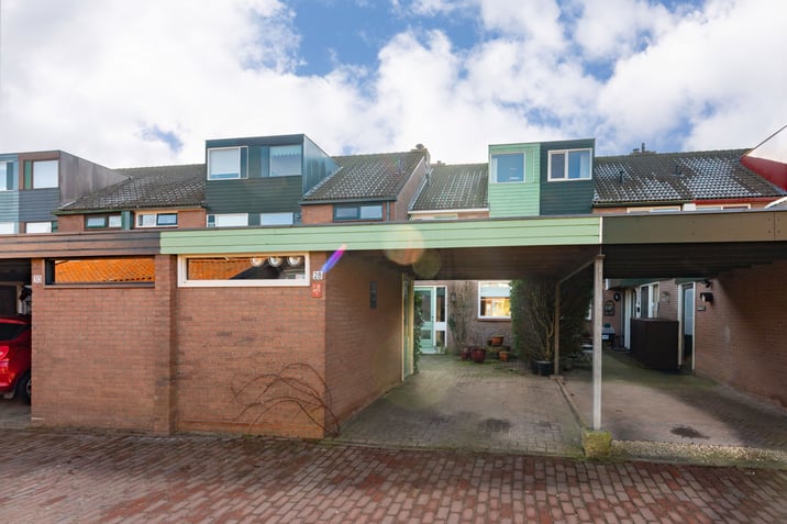 undefined main image