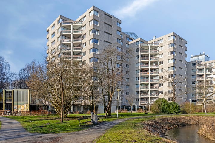 Foto 2 van Gouden Leeuw 327