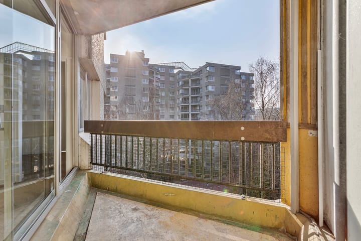 Foto 16 van Gouden Leeuw 327