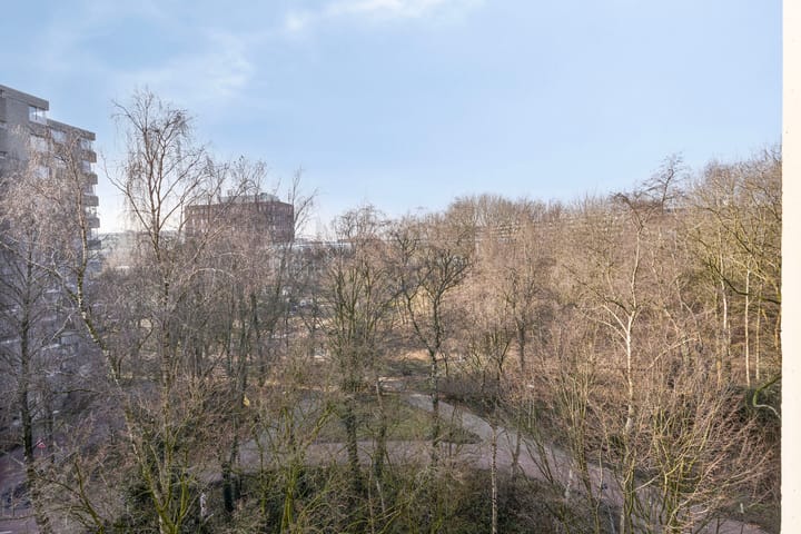 Foto 17 van Gouden Leeuw 327