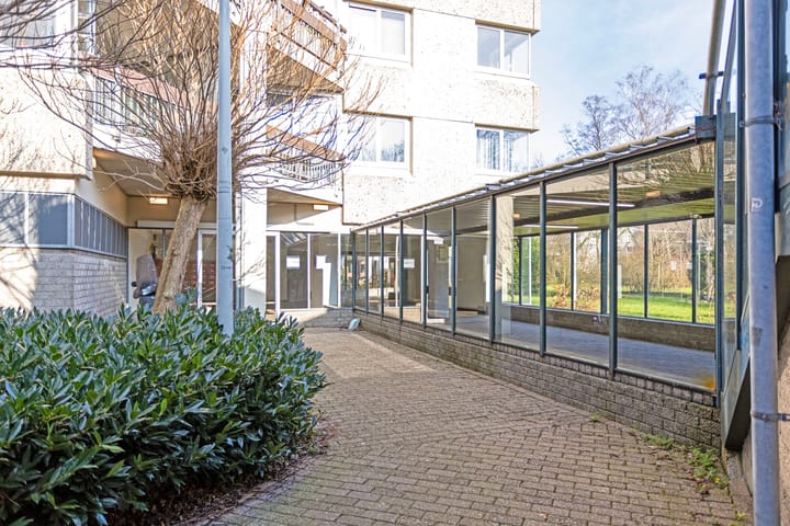 Foto 18 van Gouden Leeuw 327