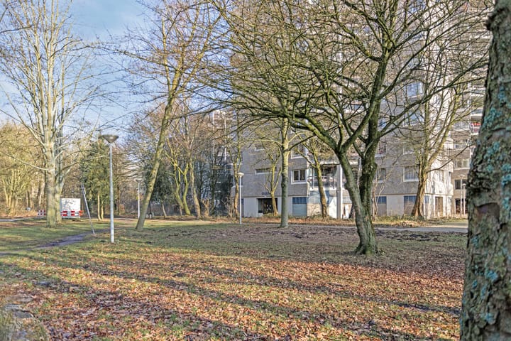 Foto 21 van Gouden Leeuw 327