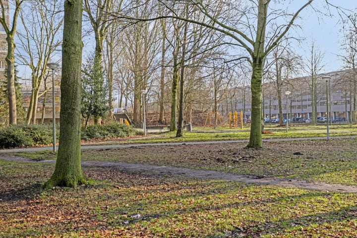 Foto 22 van Gouden Leeuw 327