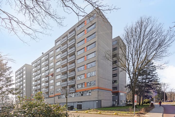 Foto 2 van Laan van Borgele 40-F603