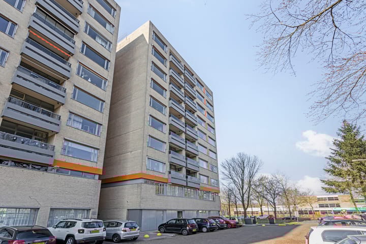 Foto 3 van Laan van Borgele 40-F603