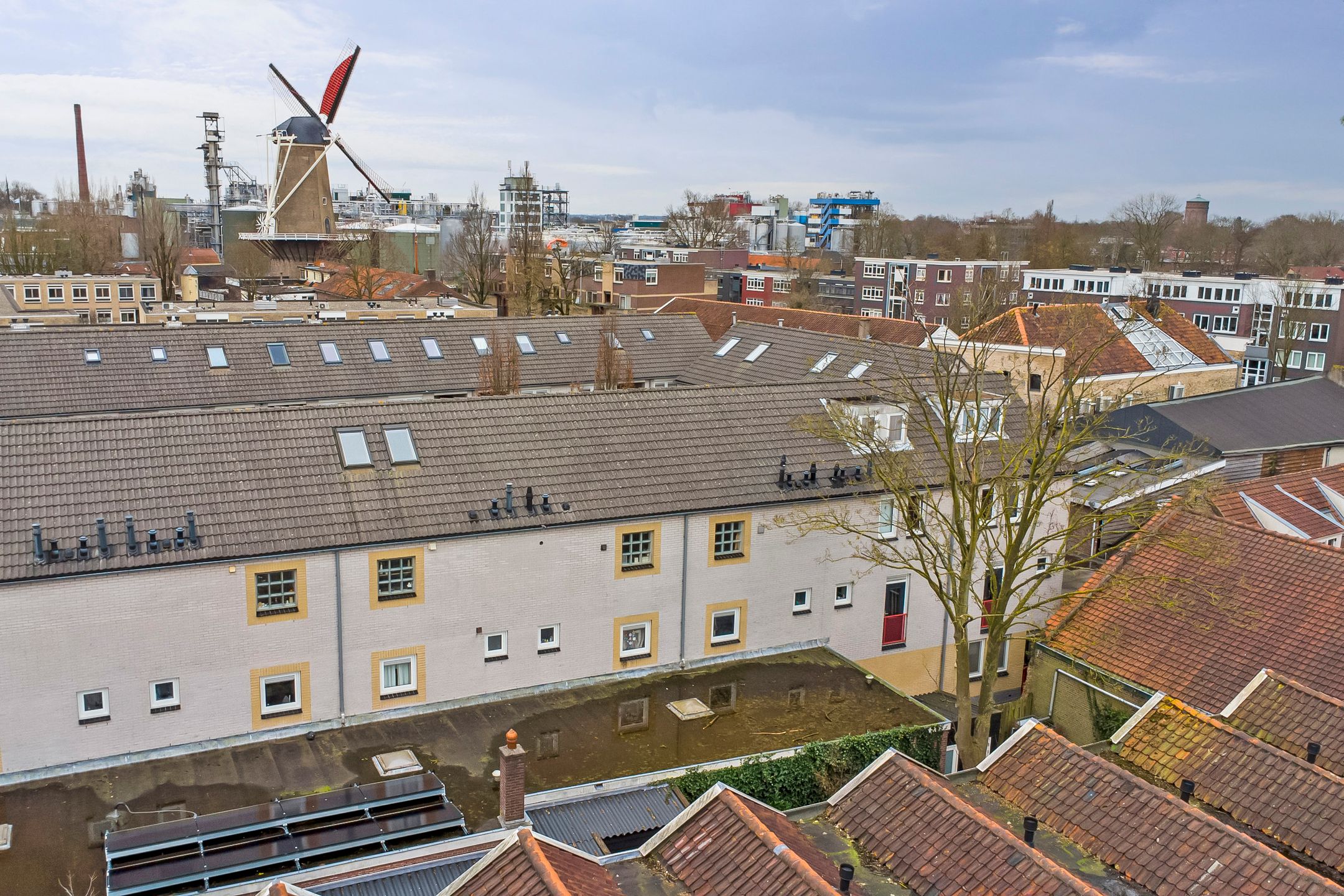 Foto 39 van Japieserf 21