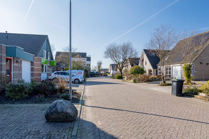 Foto 4 van Schapenveld 5