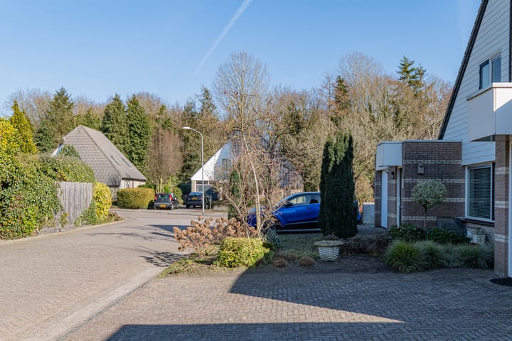 Foto 5 van Schapenveld 5