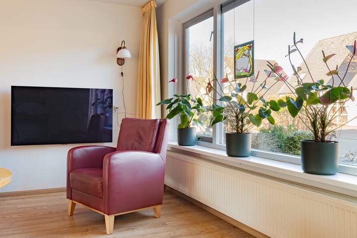 Foto 12 van Schapenveld 5