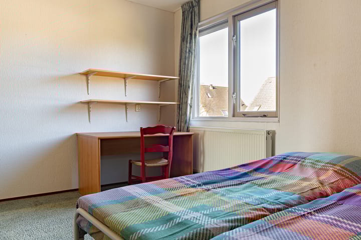 Foto 29 van Schapenveld 5