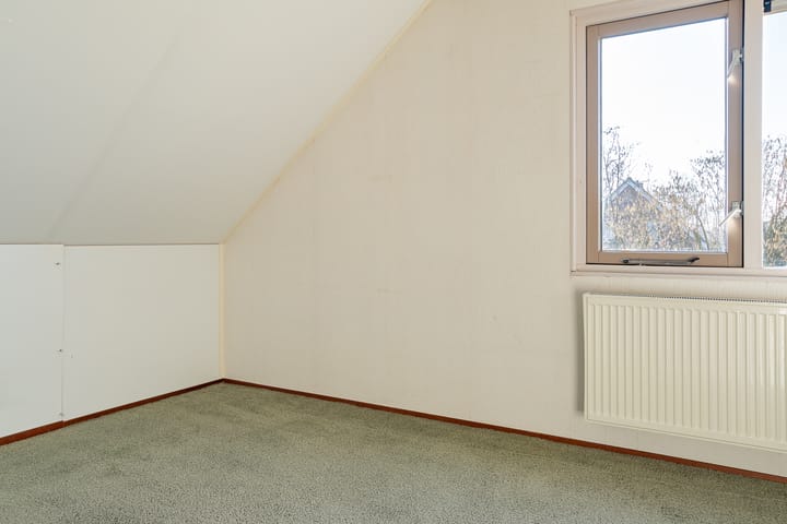 Foto 31 van Schapenveld 5