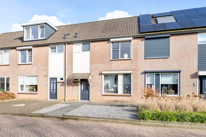 Foto 1 van Papaver 40