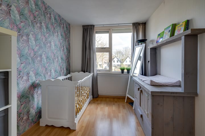 Foto 13 van Papaver 40