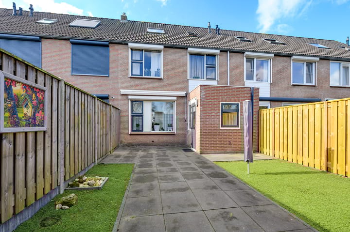 Foto 20 van Papaver 40