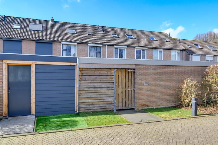 Foto 23 van Papaver 40