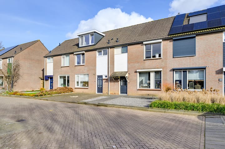 Foto 24 van Papaver 40