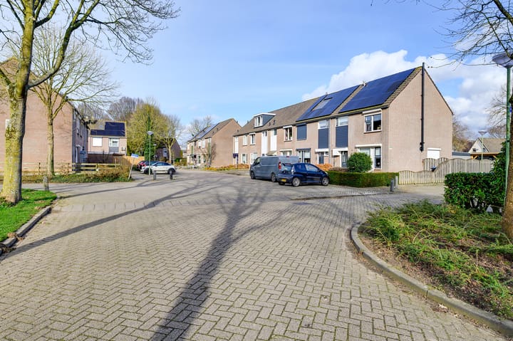 Foto 25 van Papaver 40