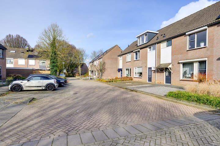 Foto 26 van Papaver 40