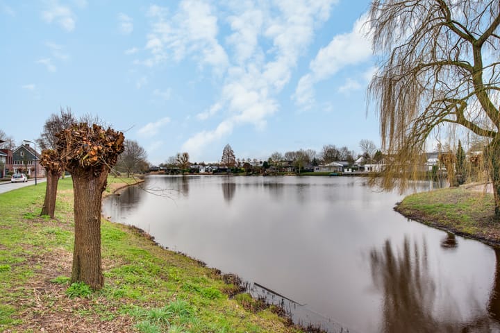 Foto 32 van Boekweitveld 33