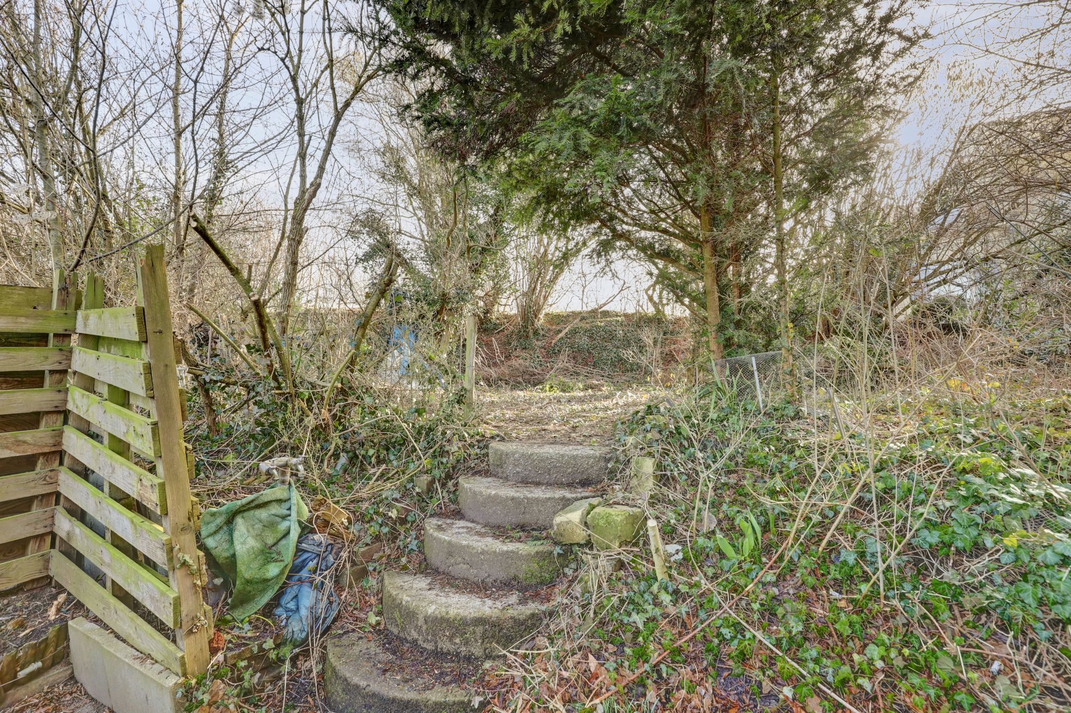 Foto 24 van Sint Apolloniastraat 7