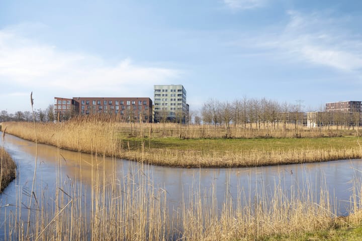 Foto 29 van Walessingel 2