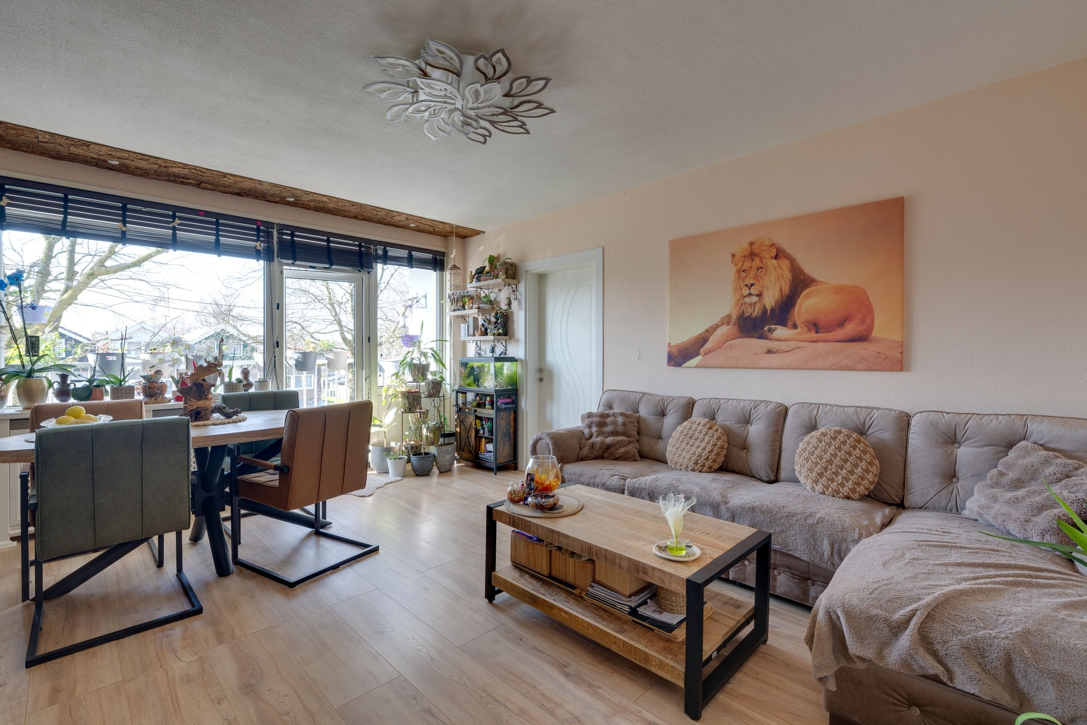 Foto 12 van Zuidervaart 80