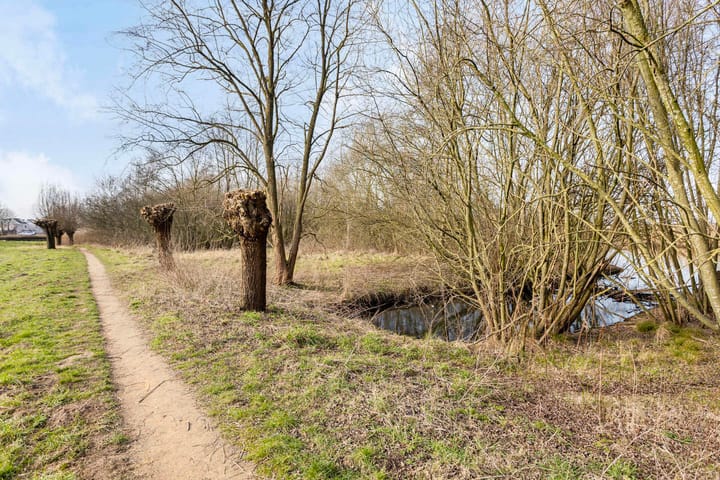 Foto 30 van Hofvijver 23