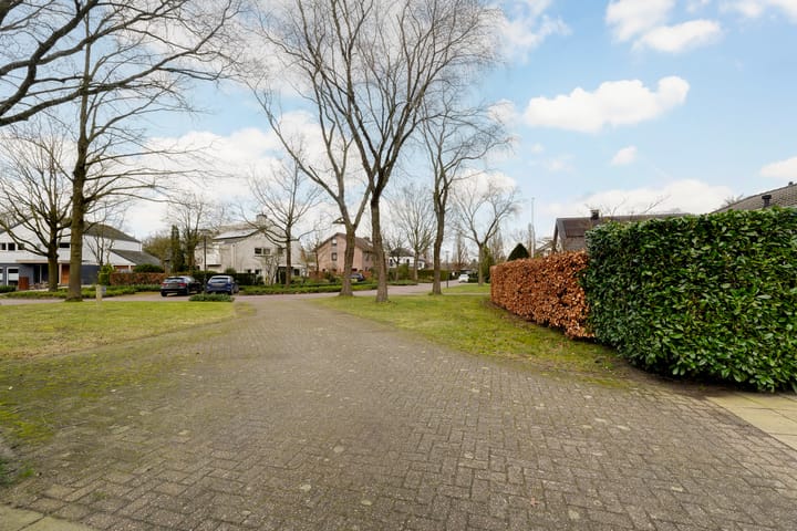 Photo 52 of Maasland 34