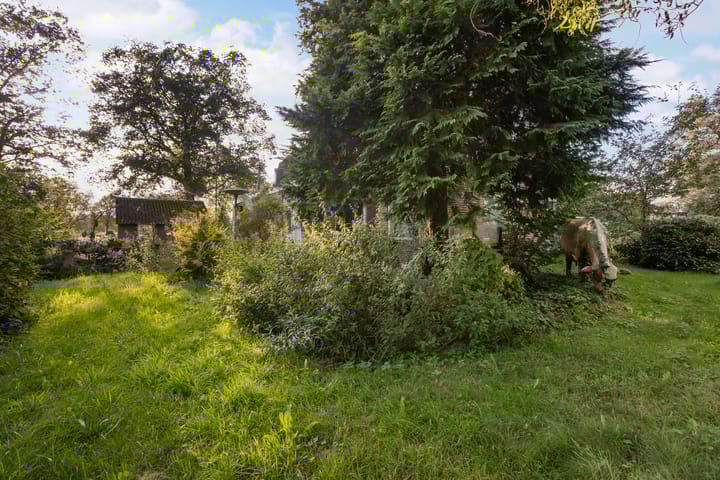 Photo 23 of Baarler Marsweg 1