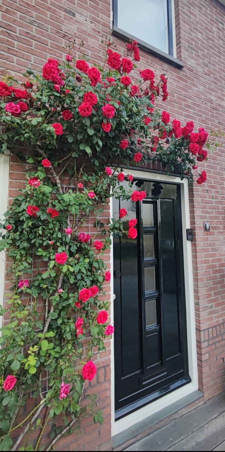 Foto 48 van Ruwielsekade 6