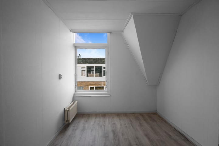 Foto 19 van Bothastraat 24