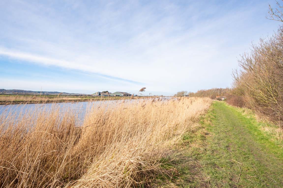 Foto 36 van Rekerlanden 163