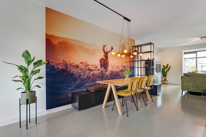 Photo 9 of Swankhuisenwerf 10