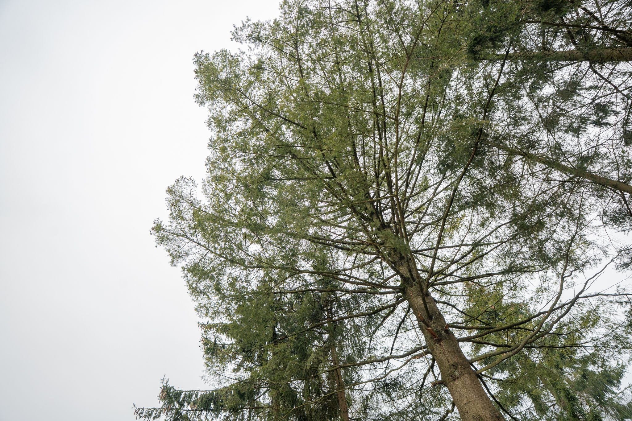 Foto 24 van Veldkampweg 2-K12