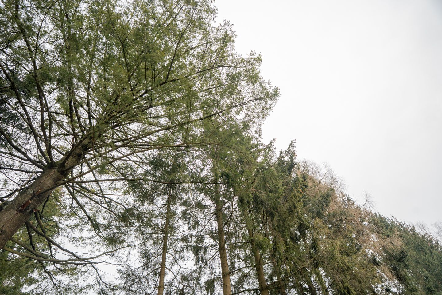 Foto 25 van Veldkampweg 2-K12