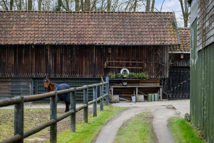 Photo 51 of Veerweg 8