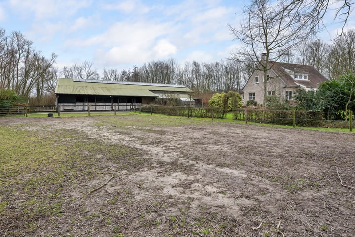 Photo 53 of Veerweg 8