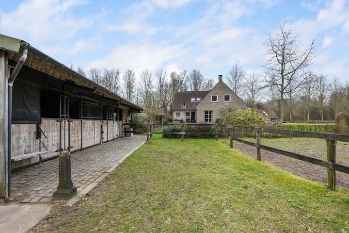 Photo 55 of Veerweg 8