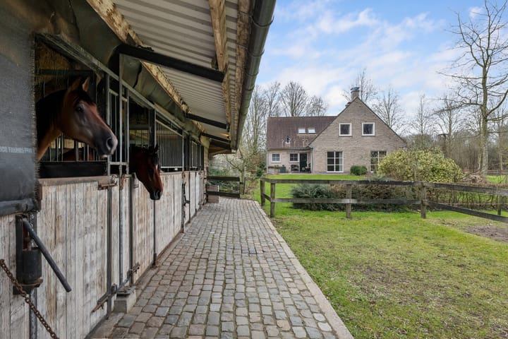 Photo 56 of Veerweg 8