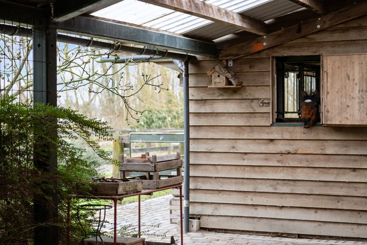 Photo 57 of Veerweg 8