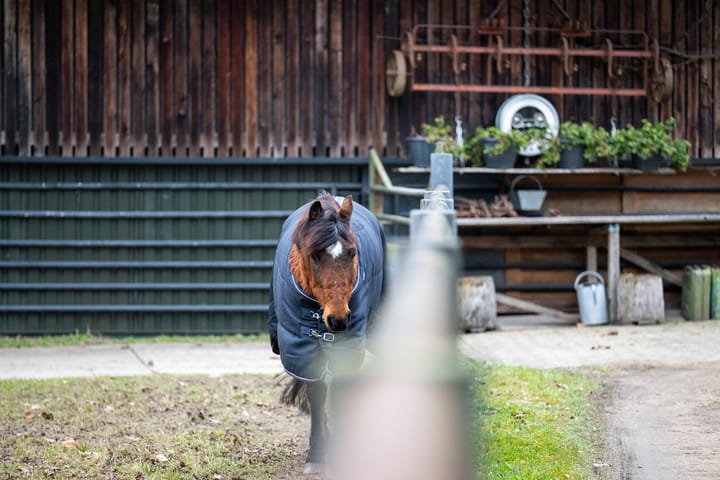 Photo 58 of Veerweg 8