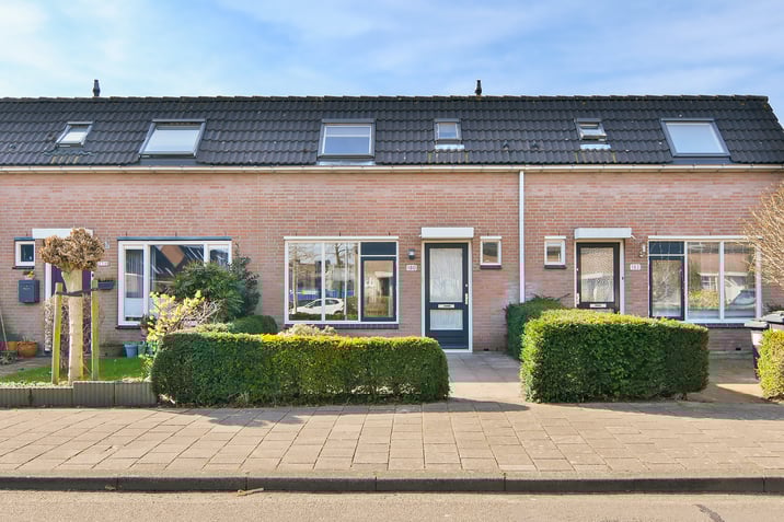 undefined main image
