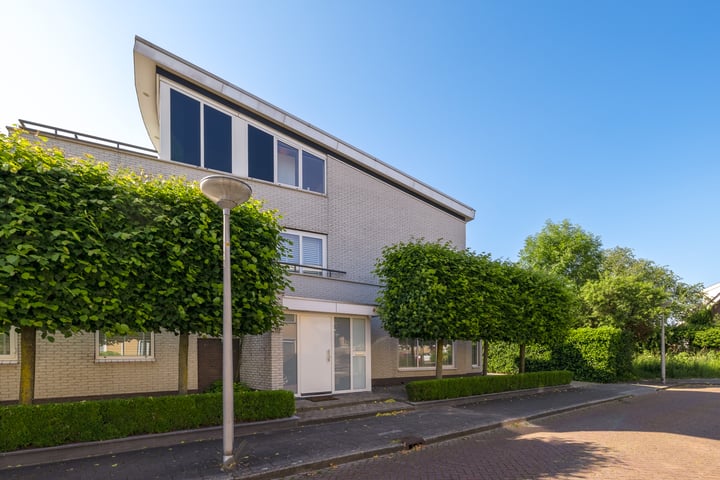 Tolheksbos 10