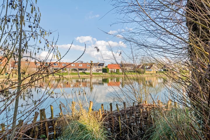 Foto 81 van de Uilenburg 10