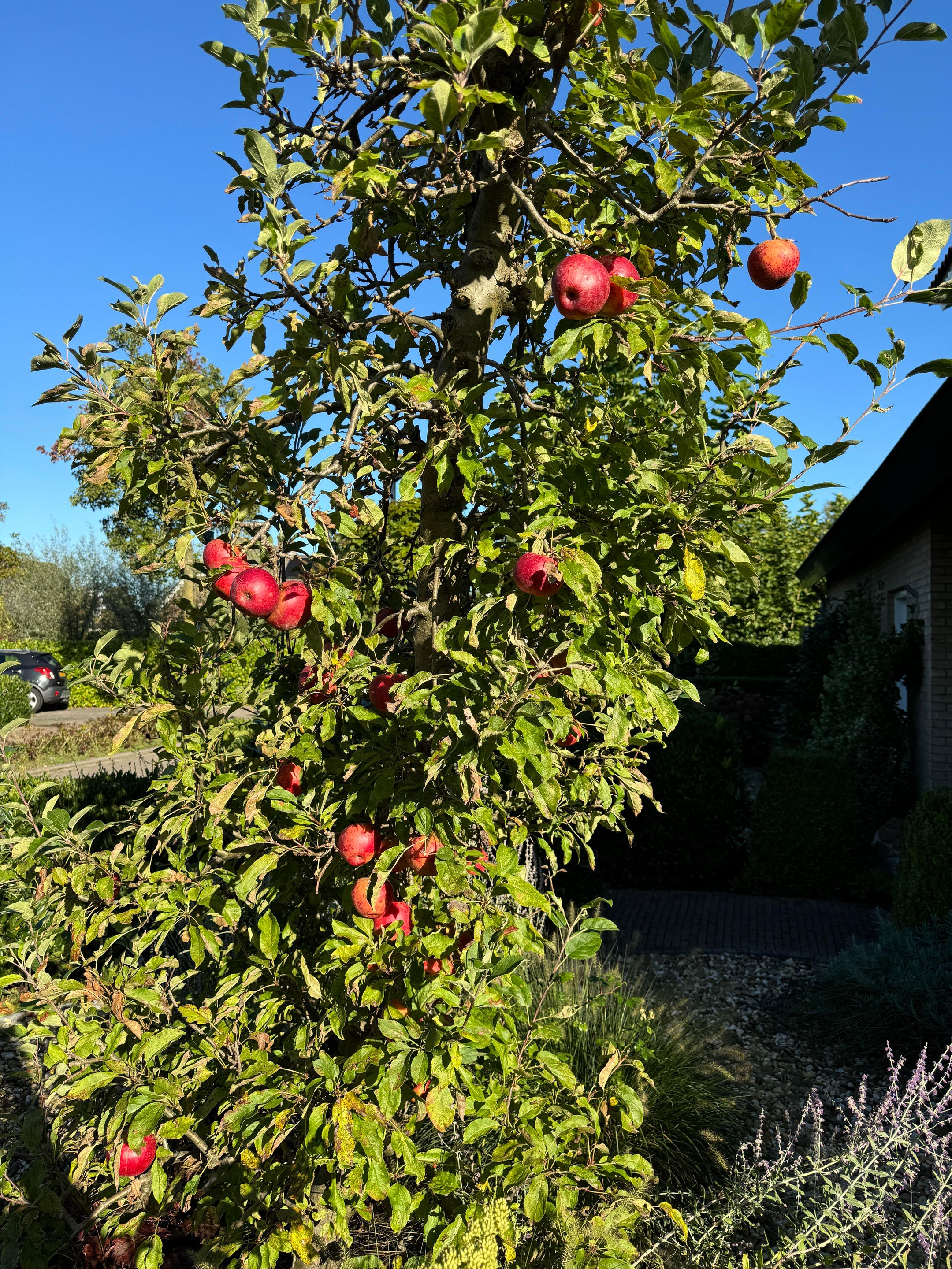 Foto 114 van de Uilenburg 10